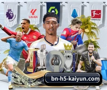 开云 APP | kaiyun sports
